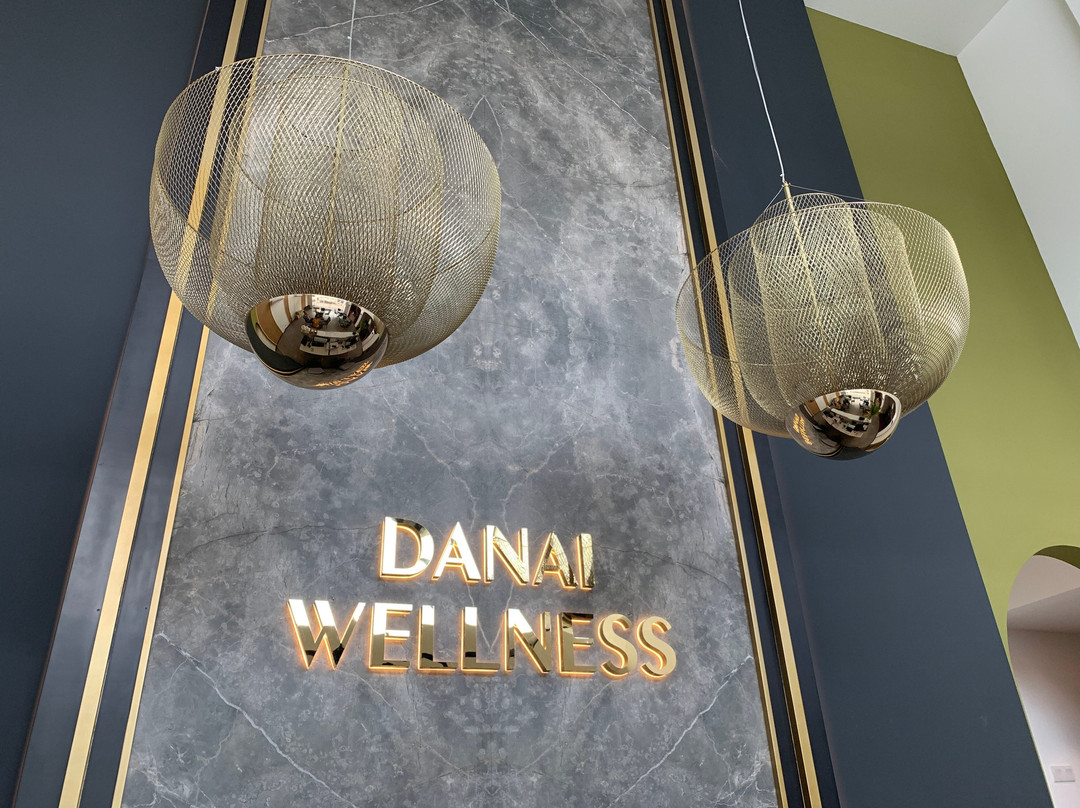 Danai Wellness Boutique @Precint 10景点图片