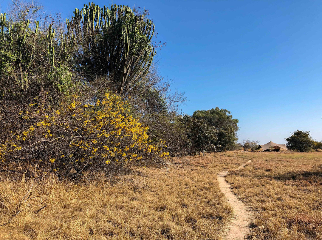 Ntemwa-busanga Camp