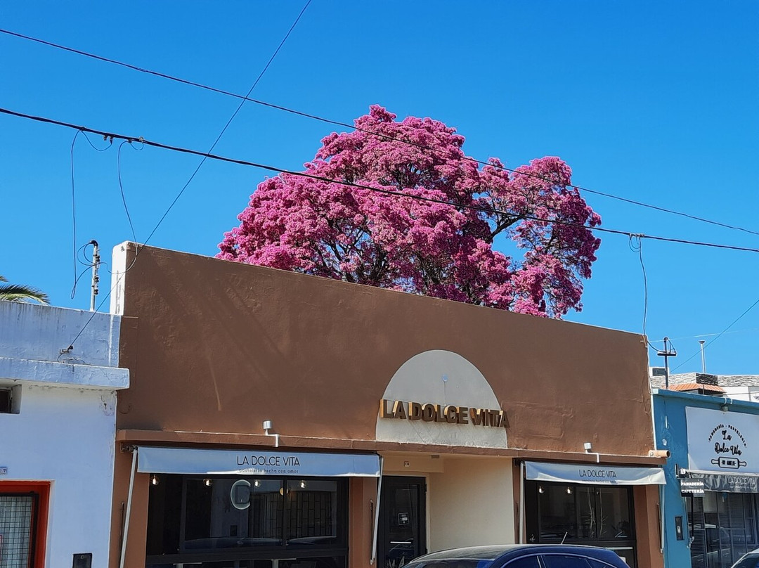 La Dolcevita - By Amelie -