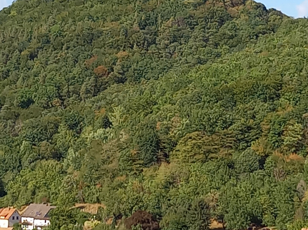 Gaestehaus Familie Heger