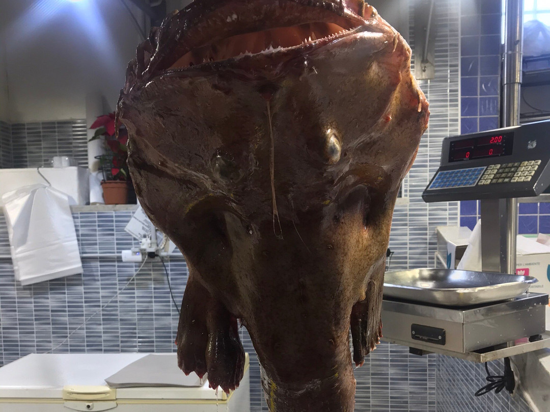 Mercato Rionale di Is Mirrionis-卡利亚里省必去景点