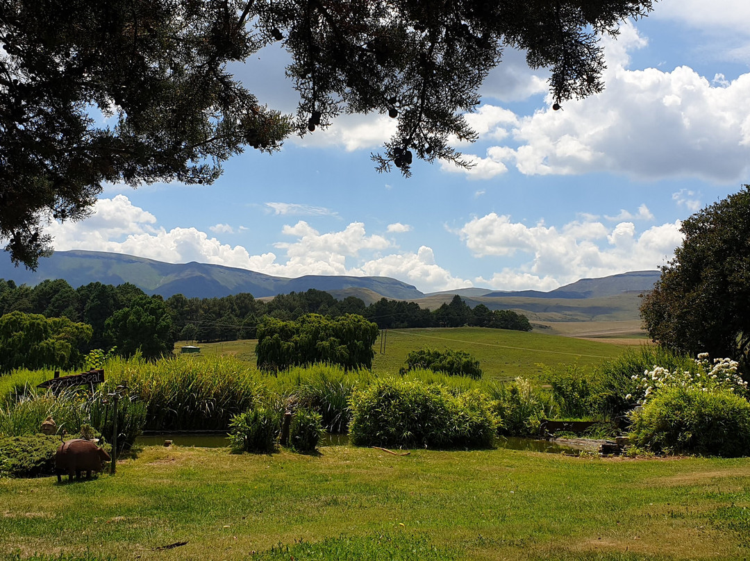 Walkerbouts Inn - Rhodes主图