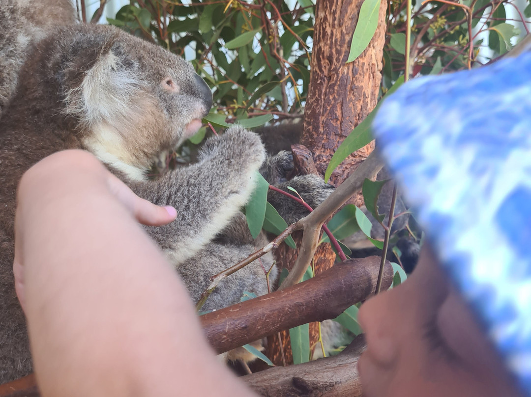 Kangaroo Island Wildlife Park景点图片