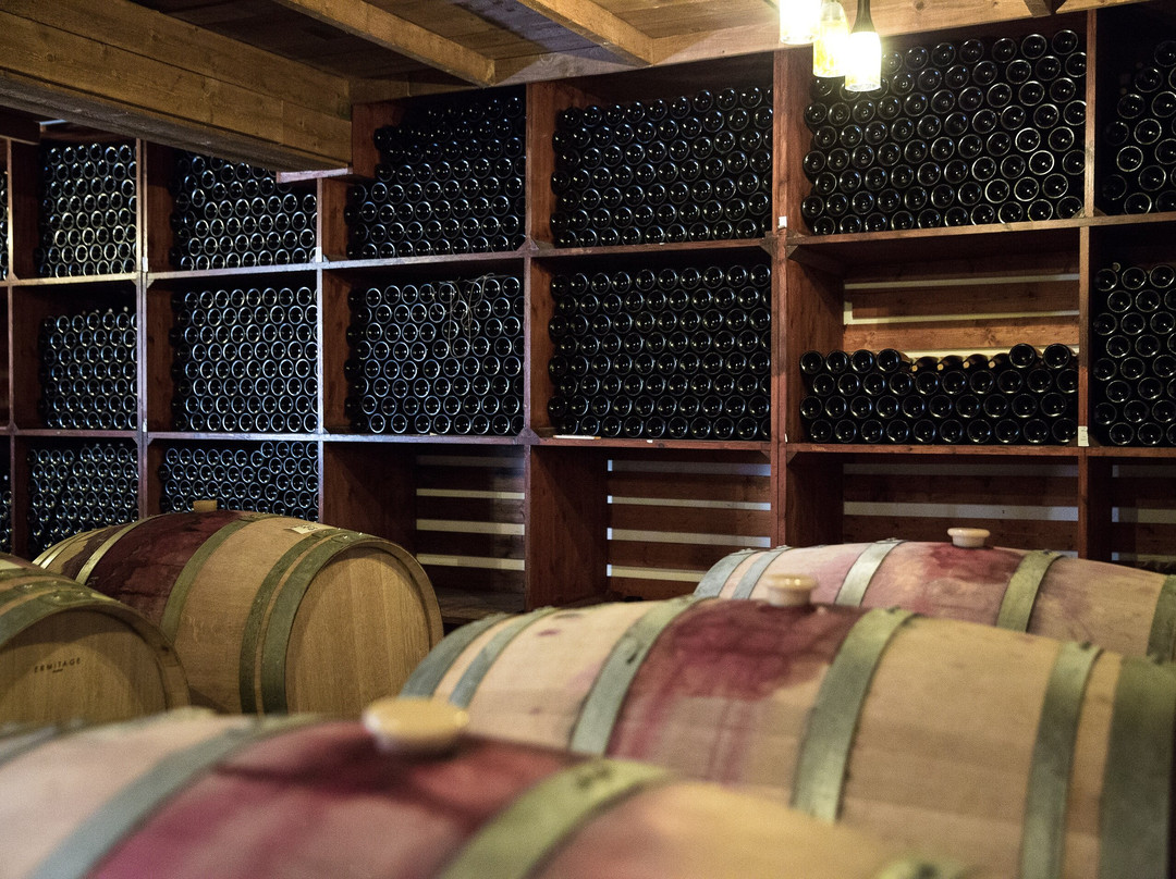 Tsangarides Winery-帕福斯必去景点