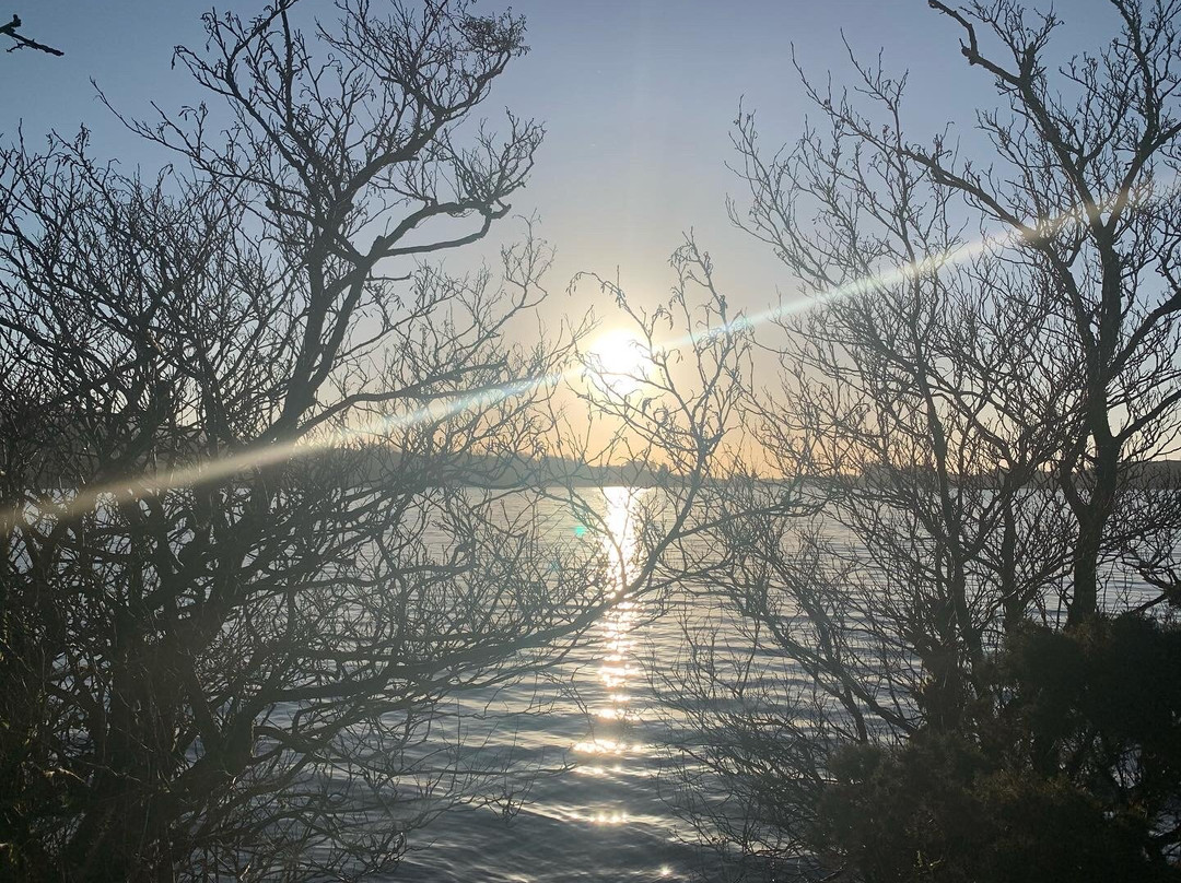 Lough Fea-Cookstown必去景点