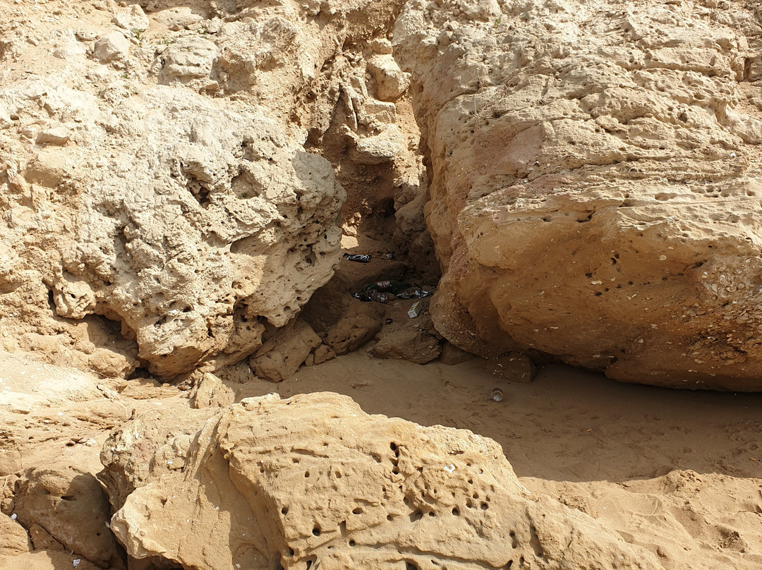 Ree Shahr-Bushehr必去景点