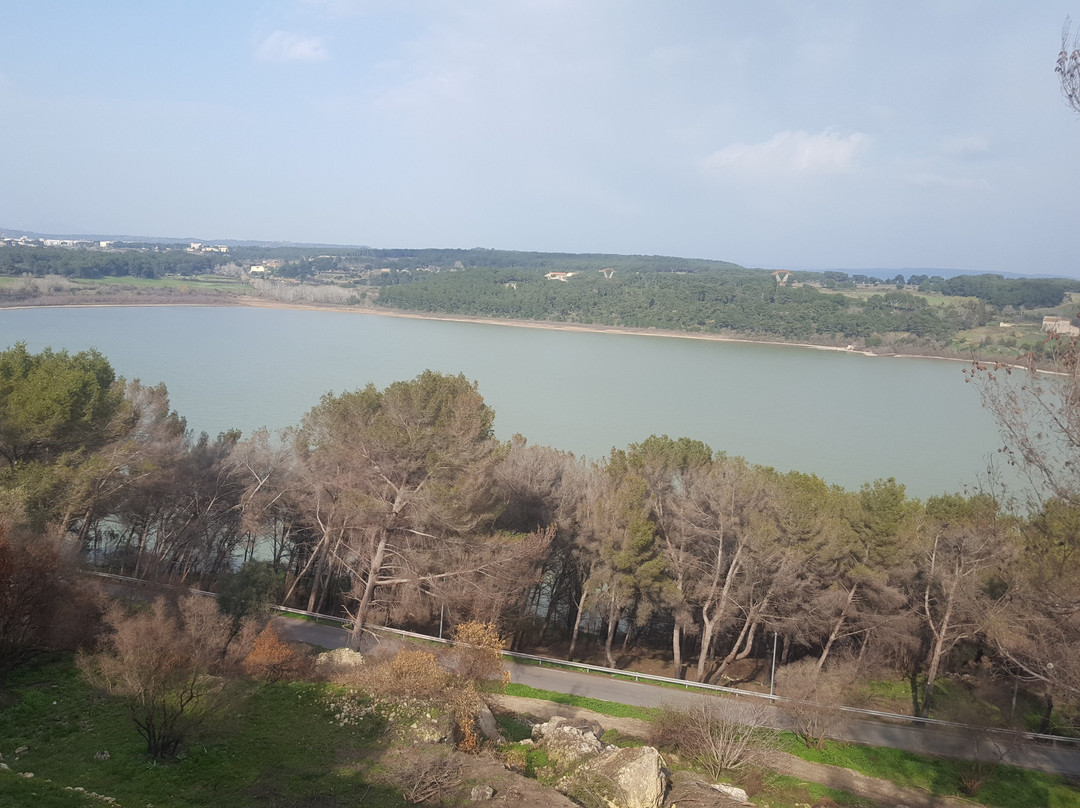 Oppidum de Saint-Blaise景点图片