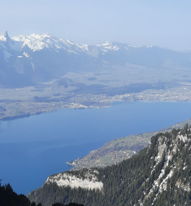 Niederhorn Berg-贝阿滕贝格必去景点