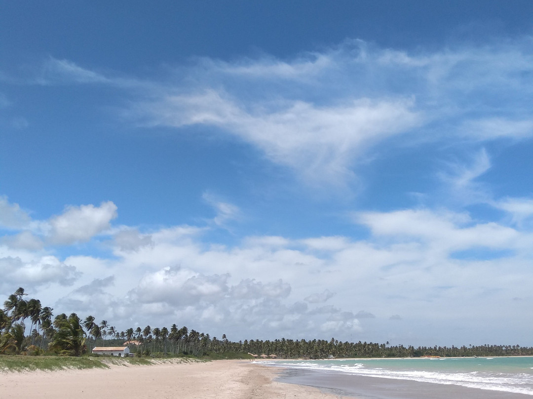 Marceneiro Beach景点图片