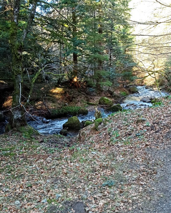Cascade du Rossignolet景点图片