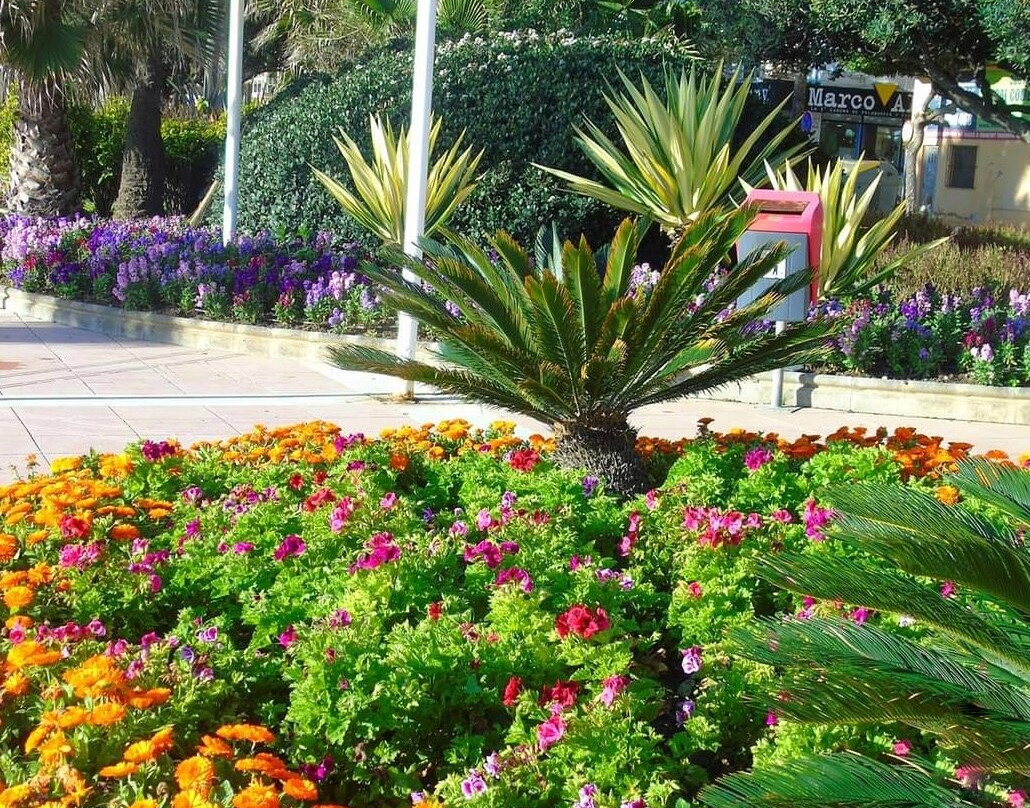 Paseo Maritimo de Estepona-埃斯特波纳必去景点