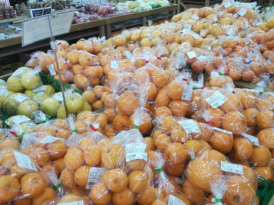 Ideyukko Market-伊东市必去景点