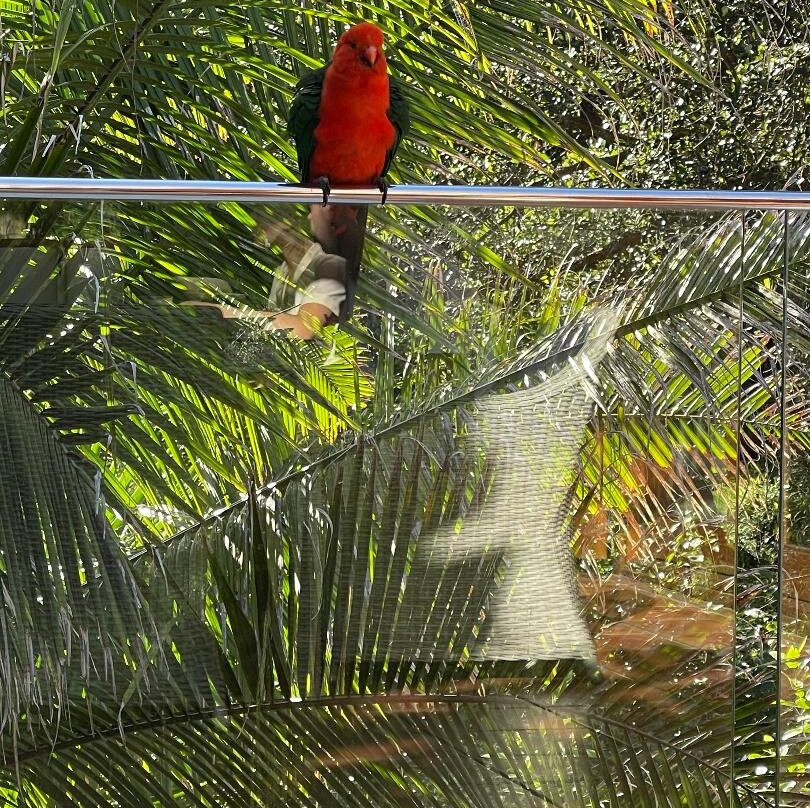 Ocean Blue B&B主图