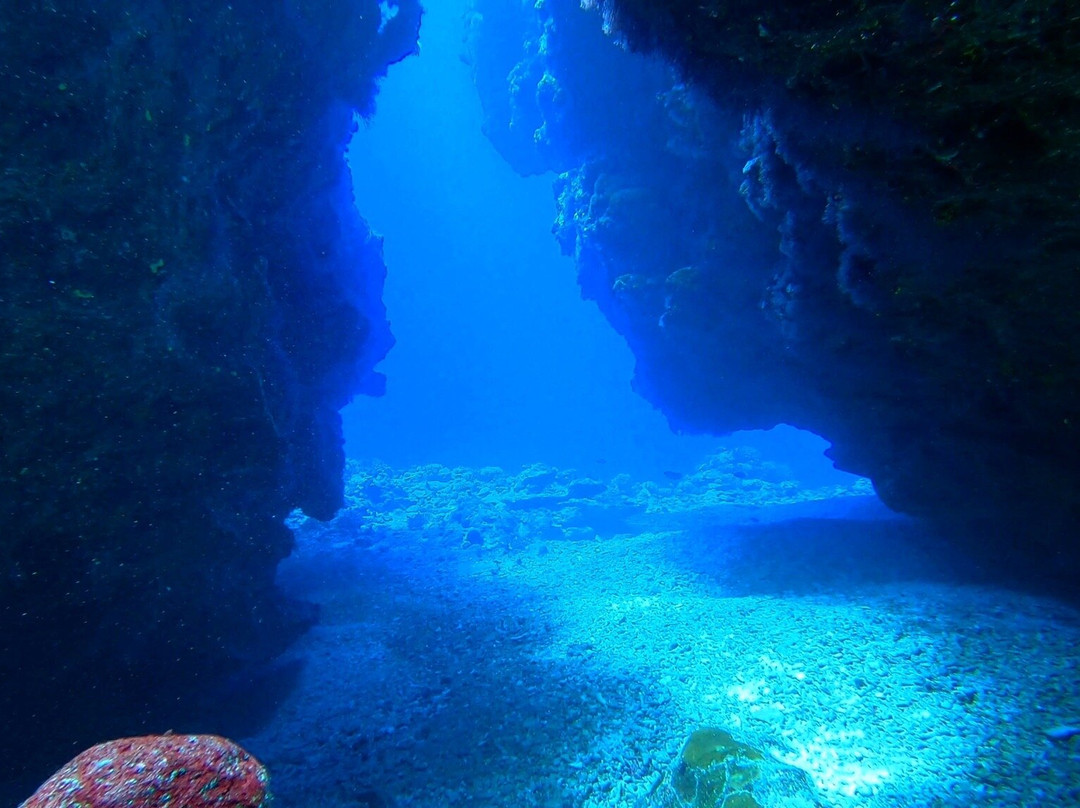 Bora Diving Center - by Eleuthera景点图片