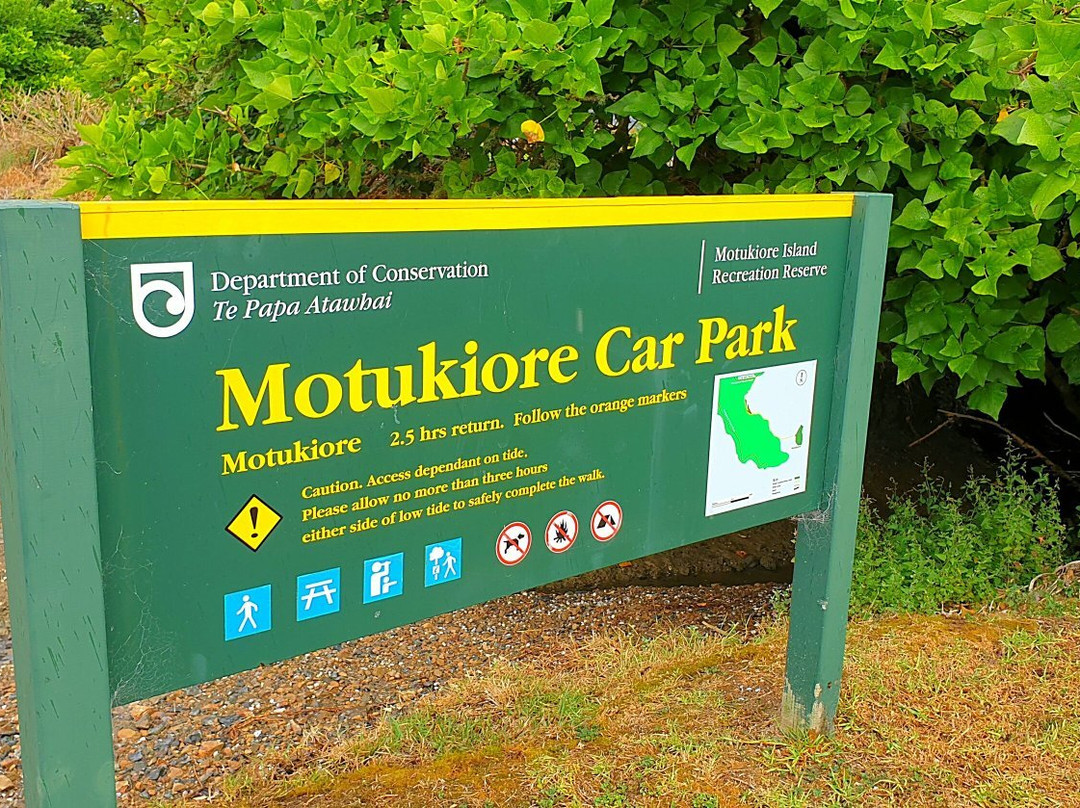 Motukiore Island