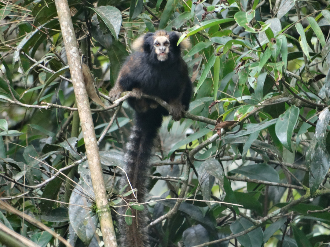 Hotel Fazenda São Francisco主图