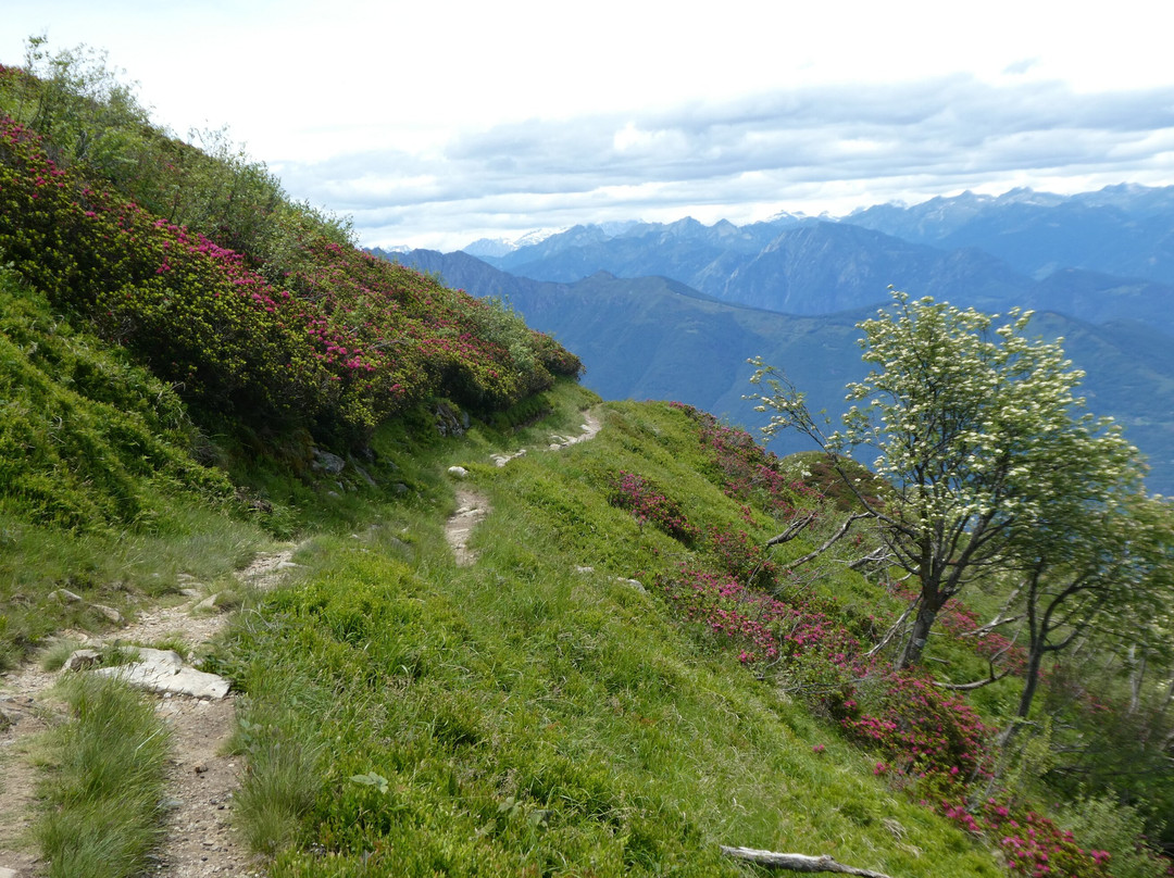 Monte Gambarogno-Indemini必去景点