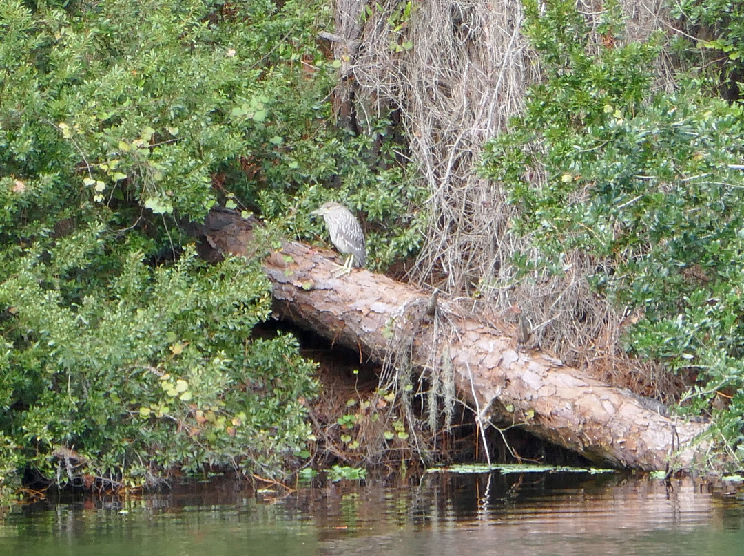 Horton Pond-吉柯岛必去景点