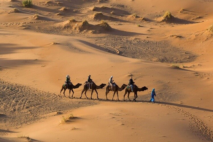 Excursiones a Marruecos-丹吉尔必去景点