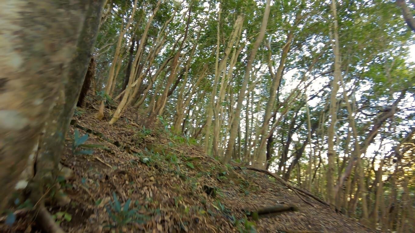 Otsuki Ecology Camping Ground-浴室