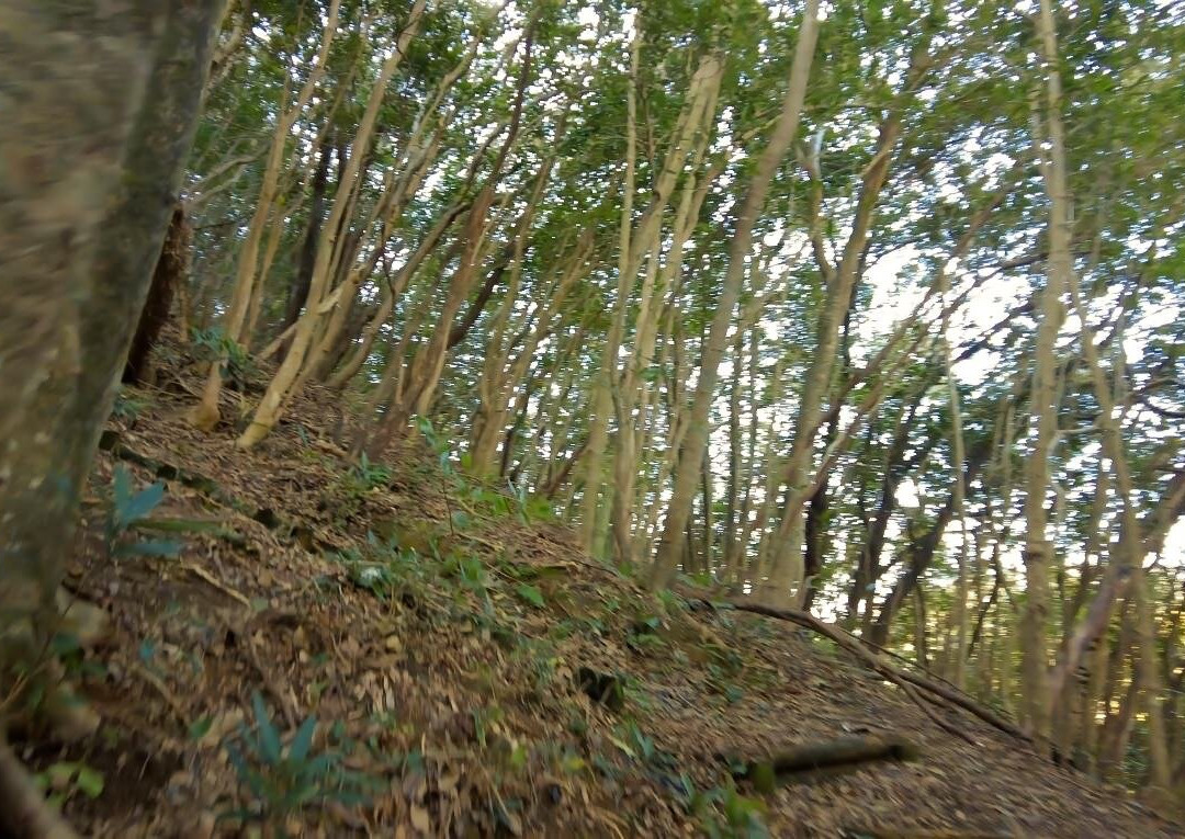 Otsuki Ecology Camping Ground主图