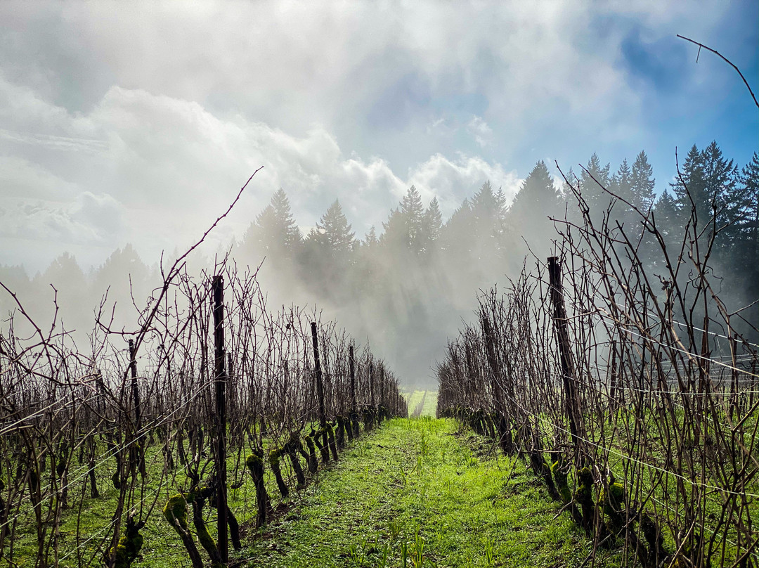 Lange Estate Winery & Vineyards-Dundee必去景点