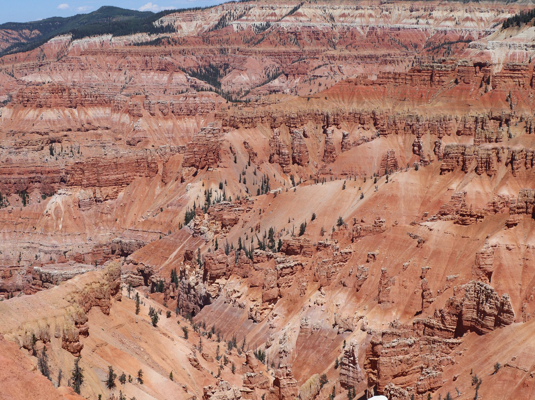 Point Supreme-锡达城必去景点