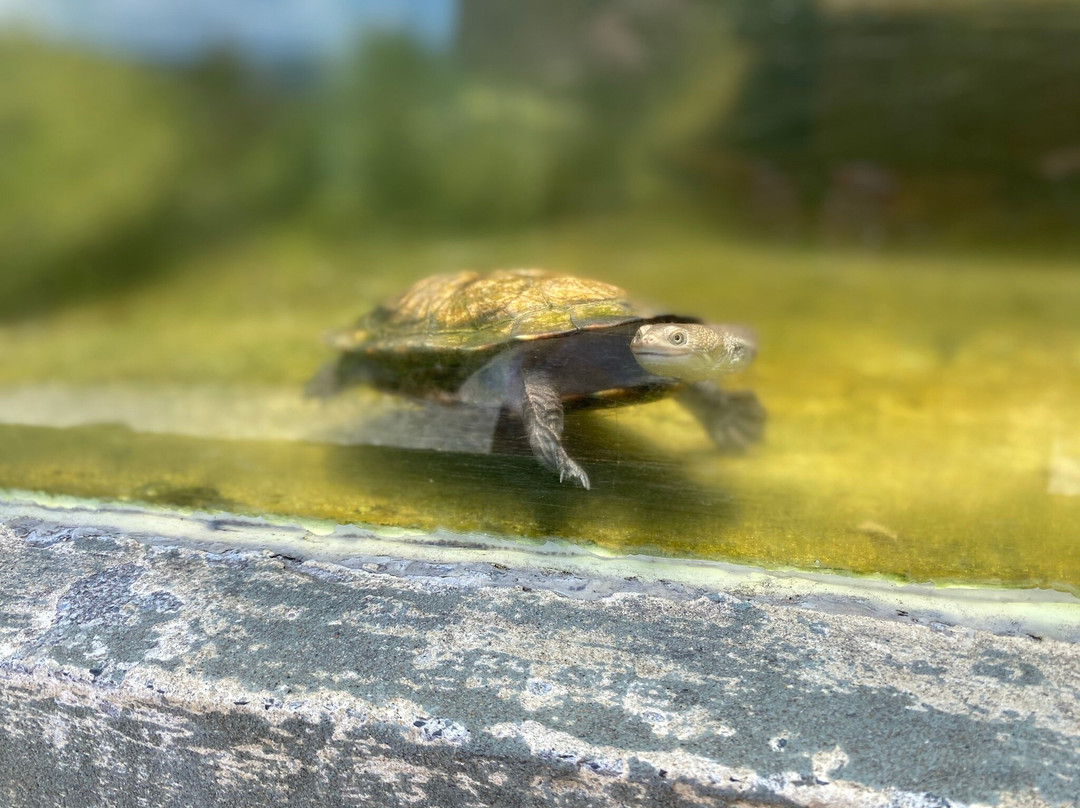 Reptile Park-瓦卡沃夫必去景点