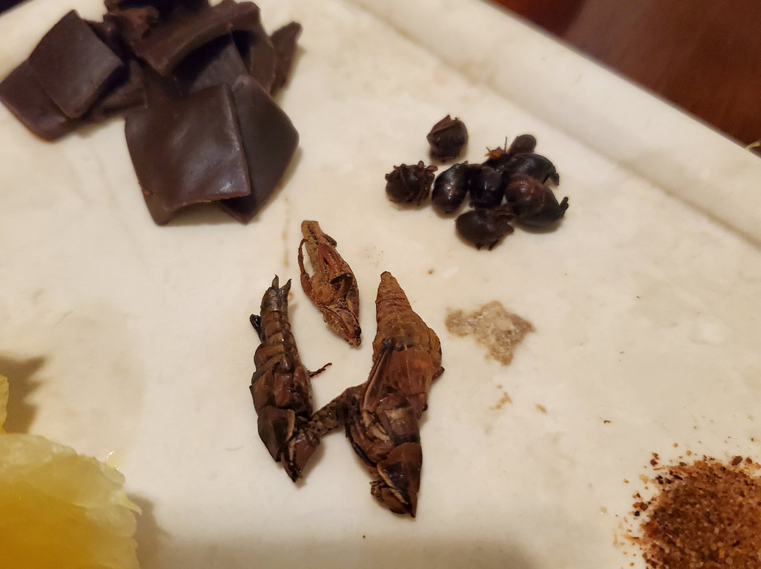 Mexican Flavors Tequila and Mezcal Tasting-梅里达必去景点