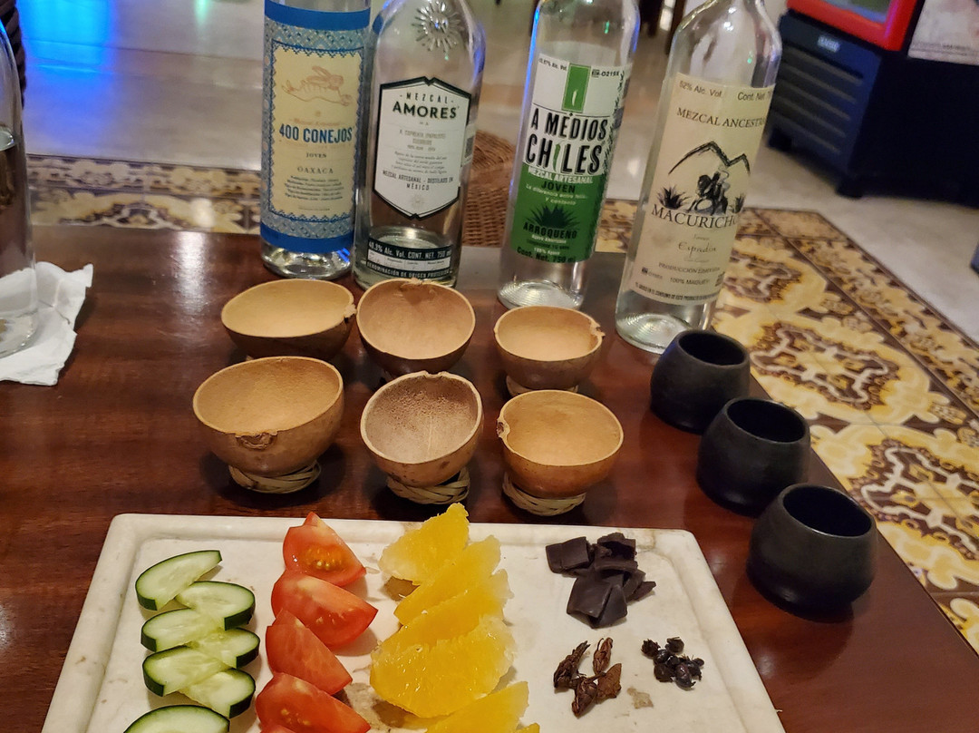 Mexican Flavors Tequila and Mezcal Tasting-梅里达必去景点
