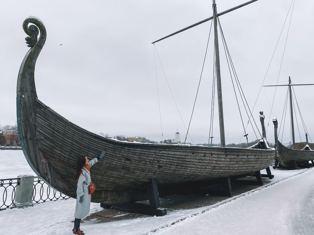 Viking's Ships景点图片