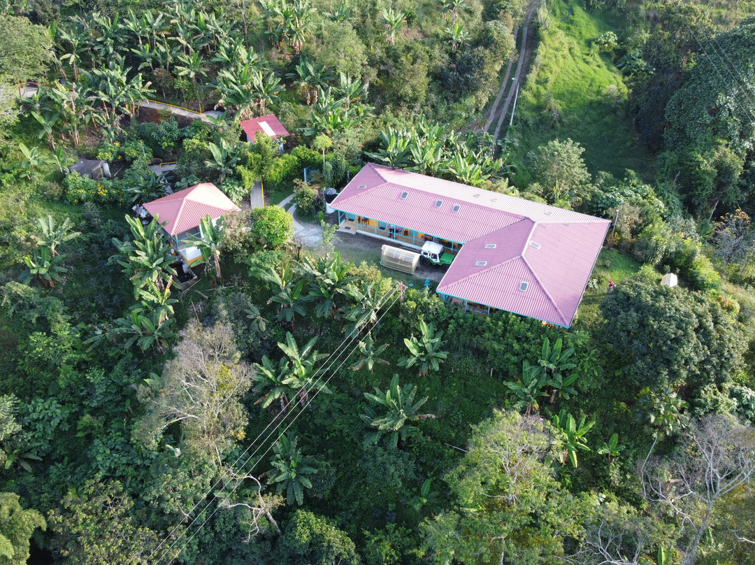 La Union Coffee Farm - Coffee & Fruits Tours景点图片