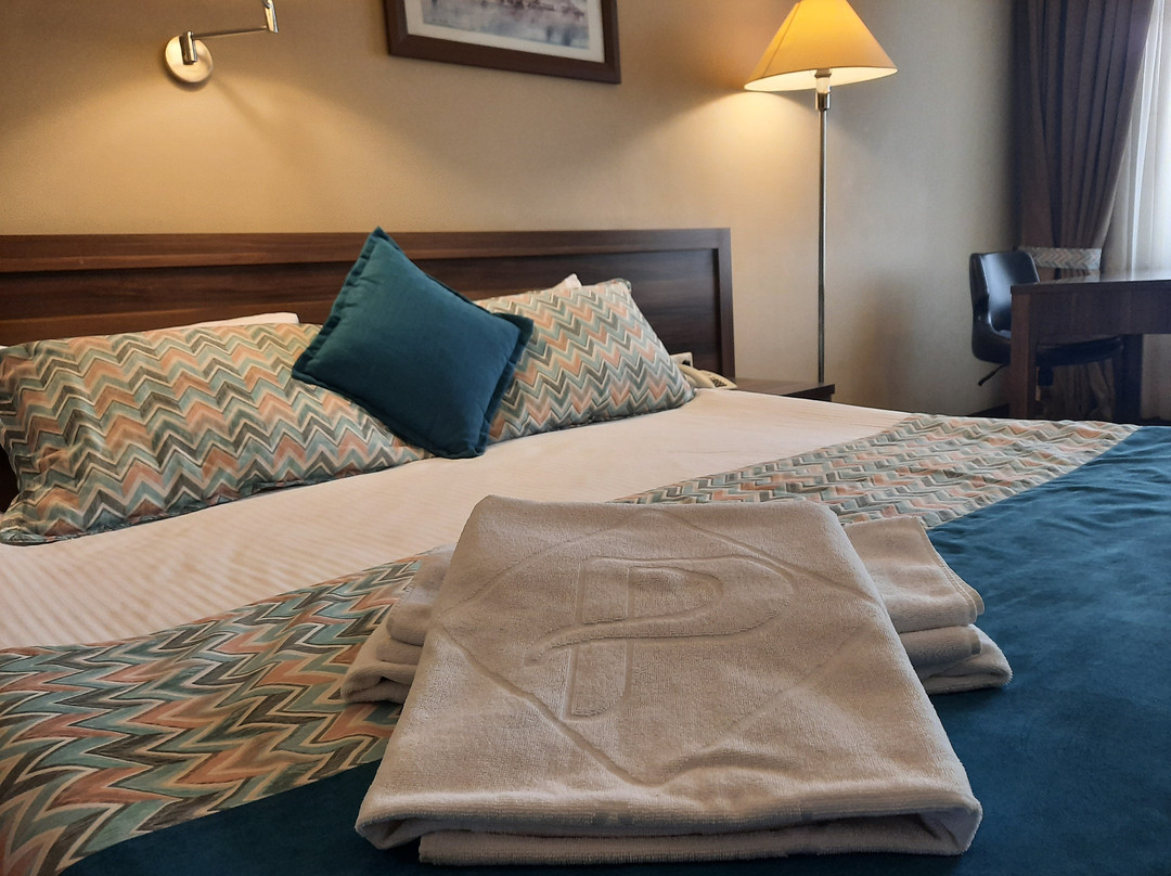 Plaza Hotel Diyarbakir主图