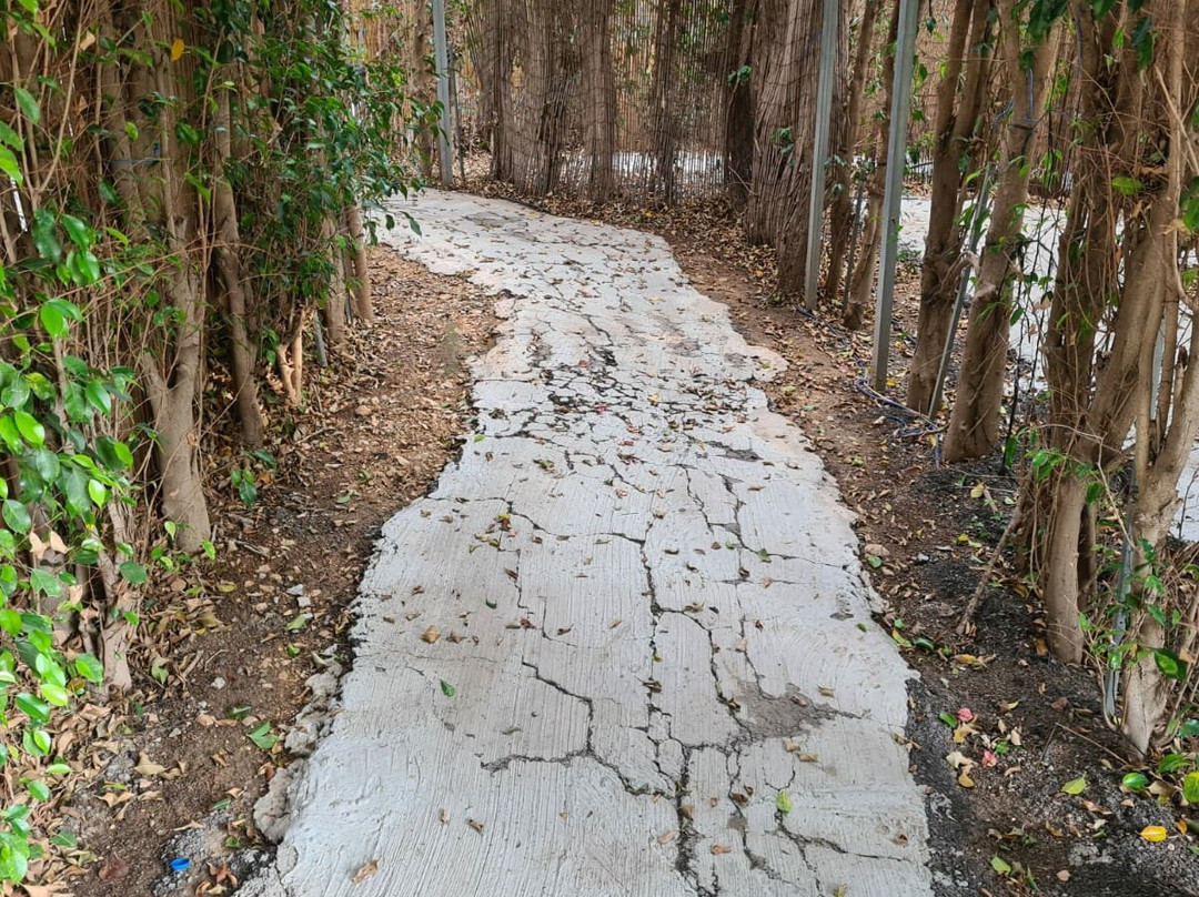 Utopia Orchid Park-Bahan必去景点