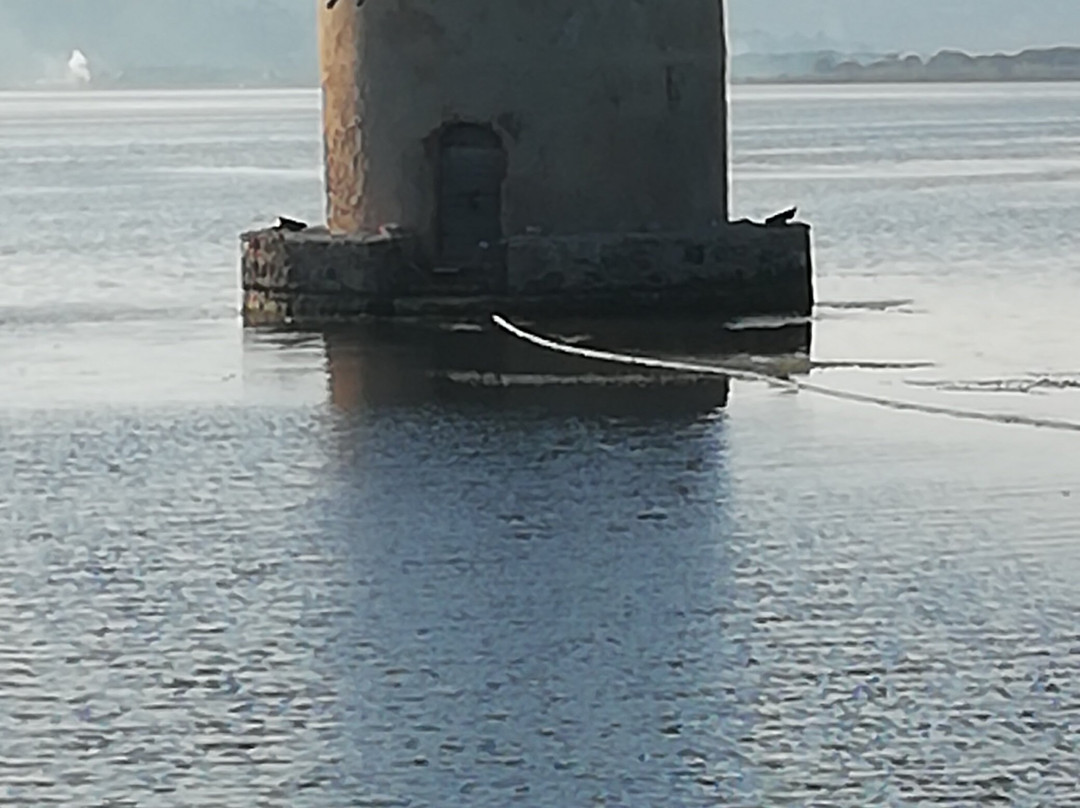 Laguna di Orbetello景点图片