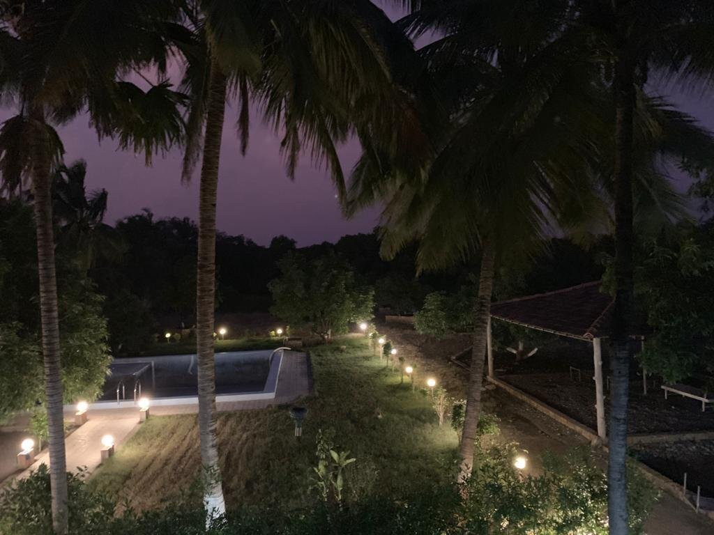 The Lioness Resort主图