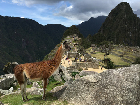 Mickey Tour-利马必去景点