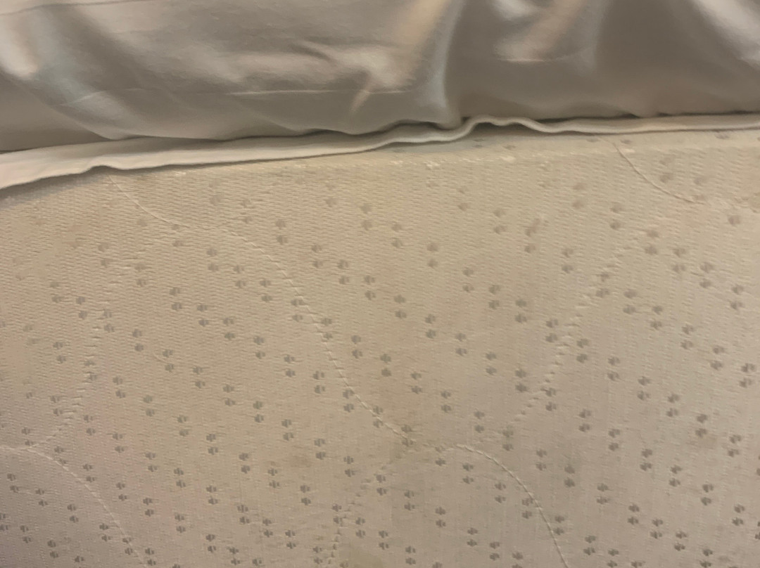 Park Hotel Uyut主图