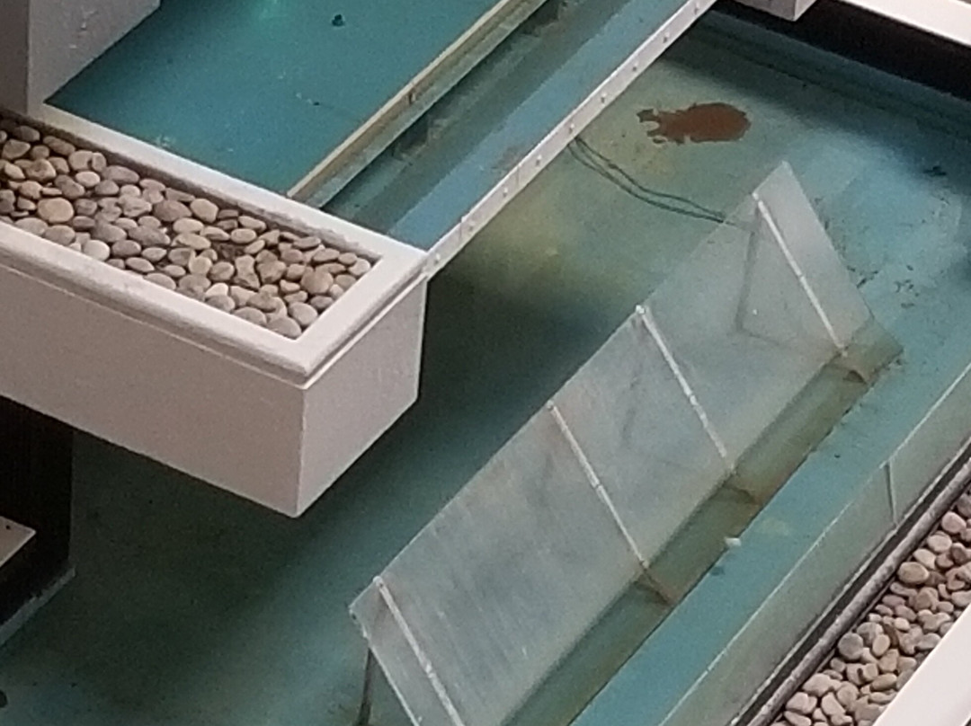 Holiday Inn & Suites Beaumont-Plaza (I-10 & Walden) by IHG主图