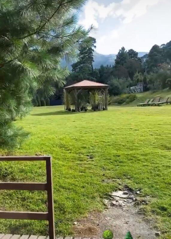 Organico Hotel Boutique主图