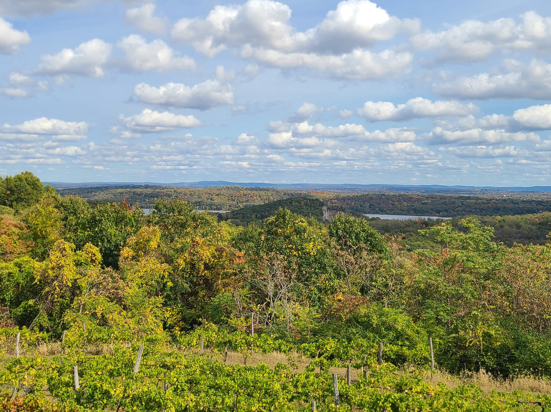 Benmarl Vineyards and Winery景点图片