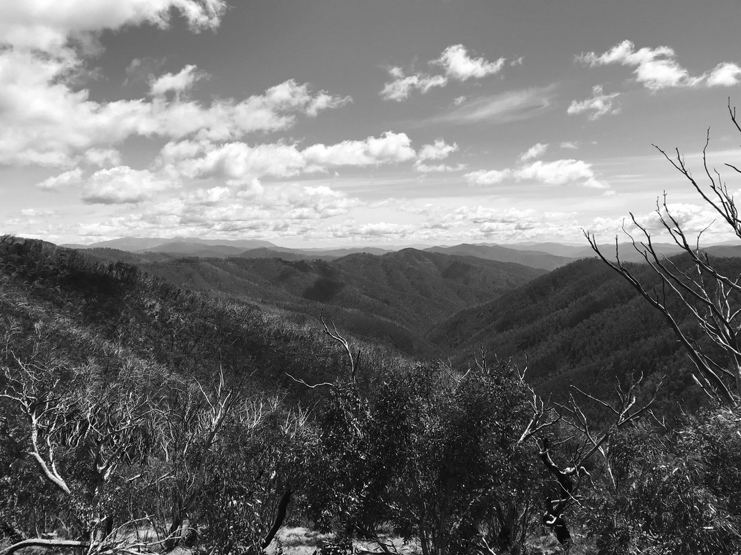 Dungey's Hollow-Hotham Heights必去景点