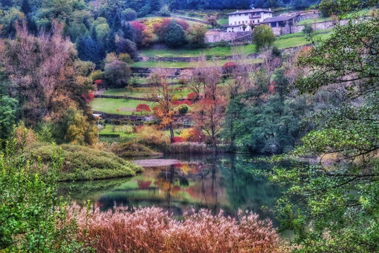 Biotopo Lago Costa景点图片