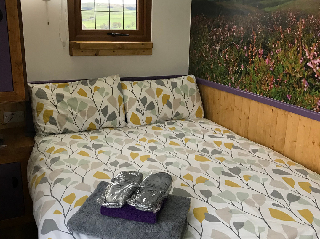 Newlands Hall Farmhouse B&B主图