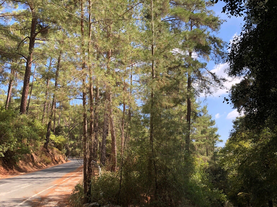 Mesa Potamos Waterfalls-帕拉翠斯必去景点