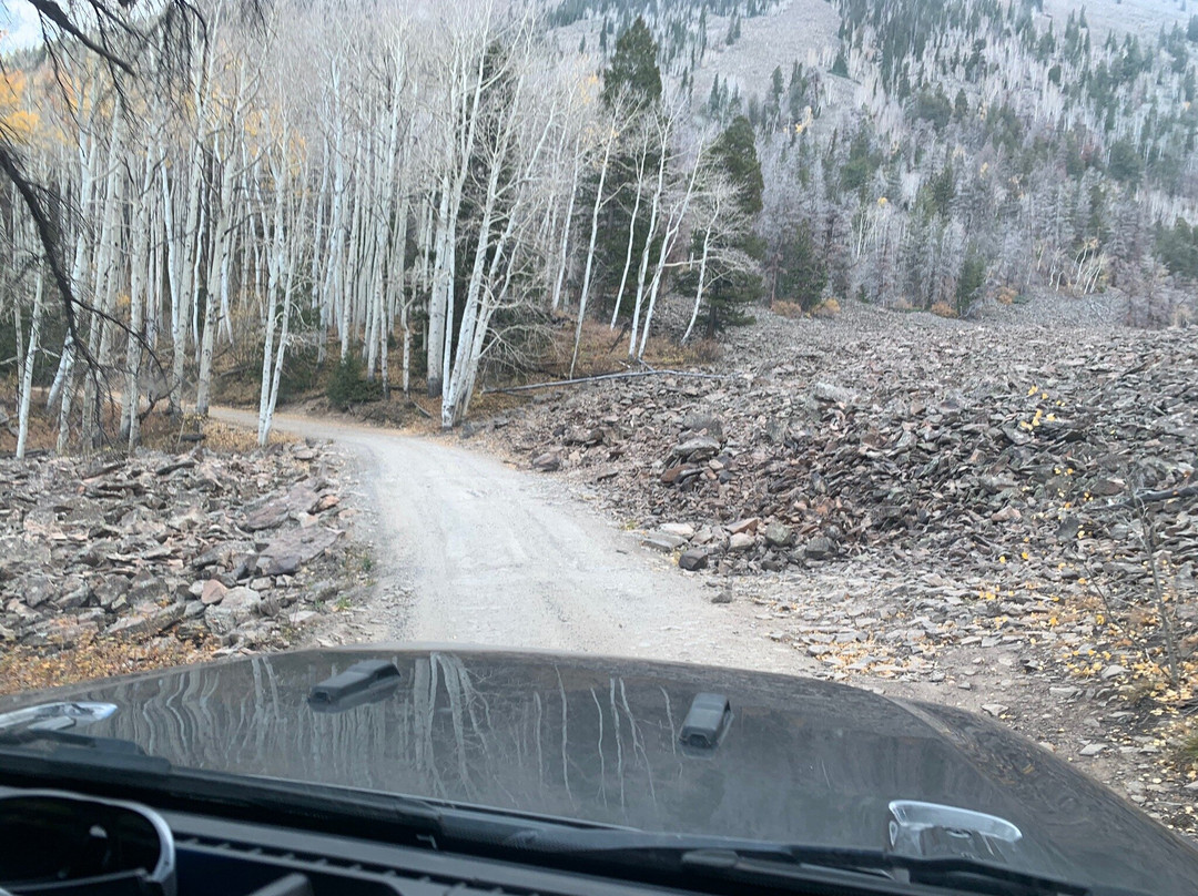 Last Dollar Road-Ridgway必去景点