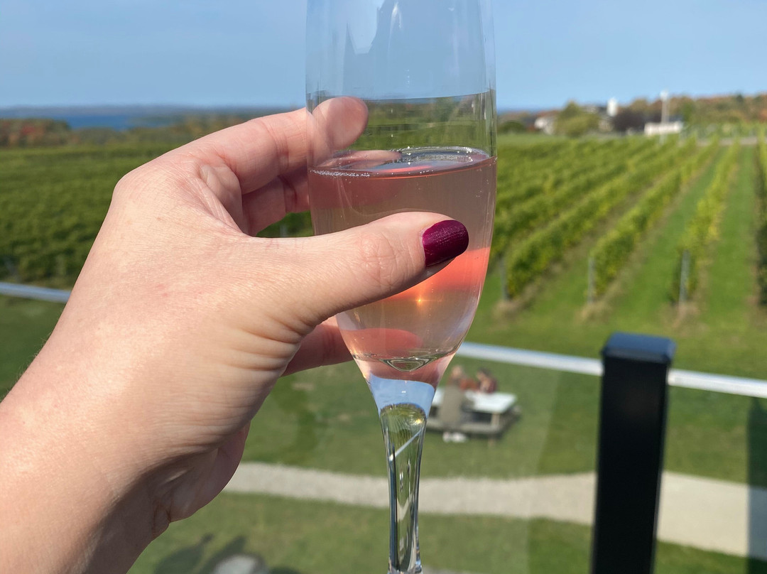 Bonobo Winery-特拉弗斯城必去景点