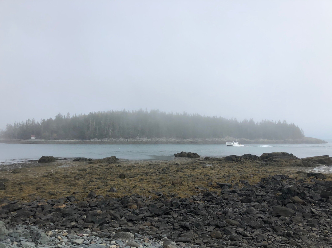 Western Head Preserve Cutler Maine景点图片