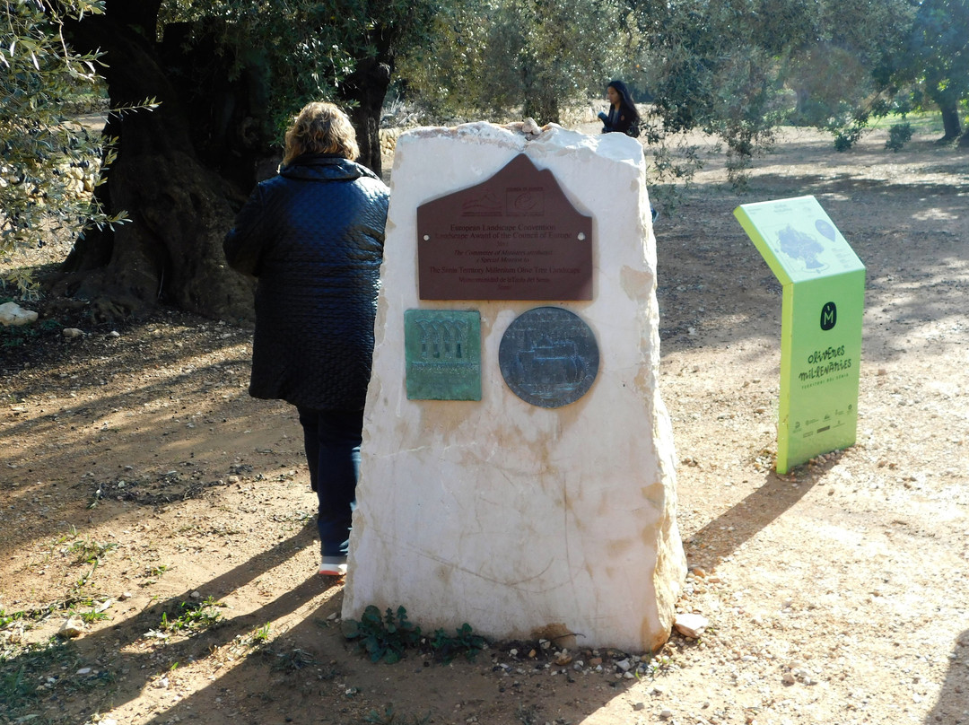 Museu Natural Oliveres Mil·lenàries de l’Arión-Ulldecona必去景点