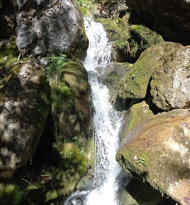 Myra Falls-Muggendorf必去景点